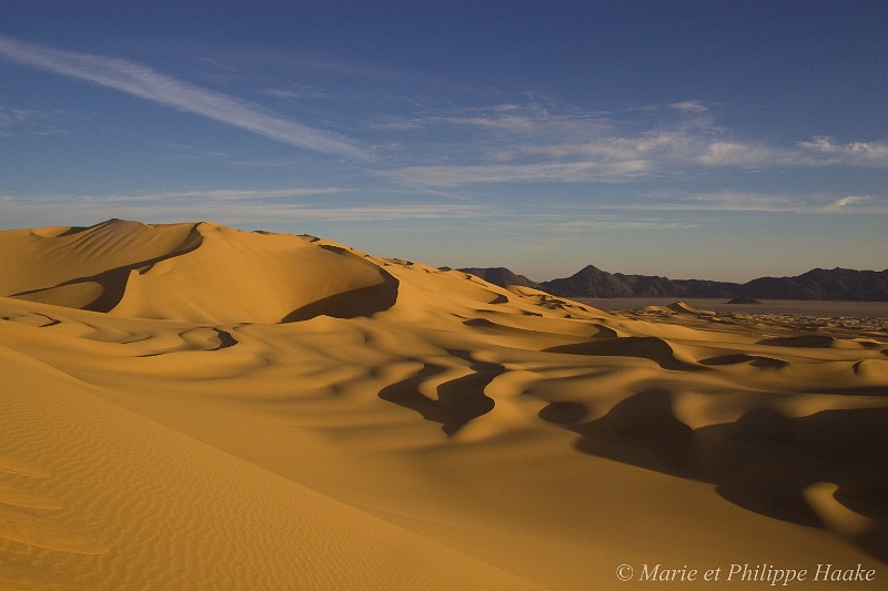 Dune Tenere 4336_wm.jpg - Dune, désert du Ténéré (Niger, 2006)